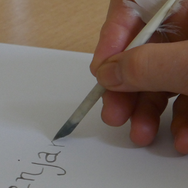 Une histoire de Plumes